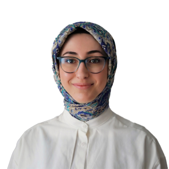 Maide Barış